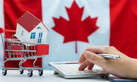 Canadian flag picture